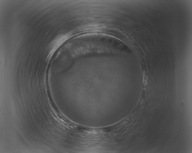 X0000085280099200703161434