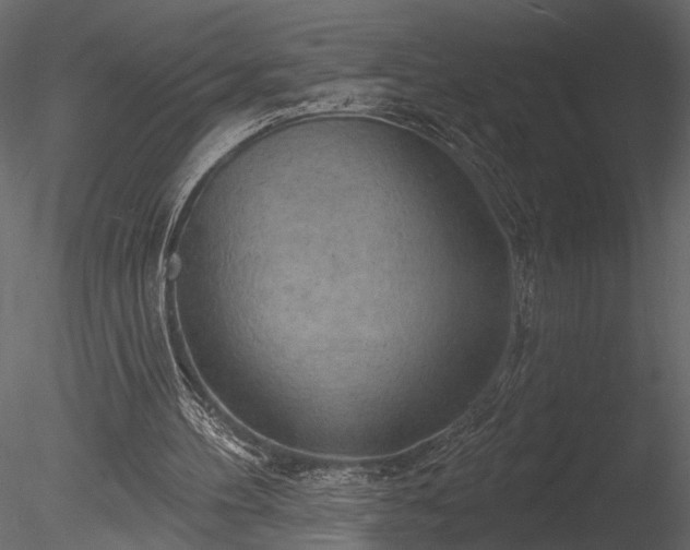 X0000085280100200703161434
