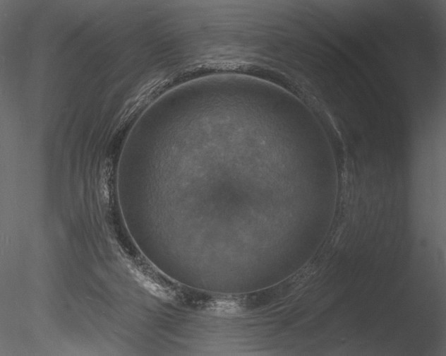 X0000085280114200703161434