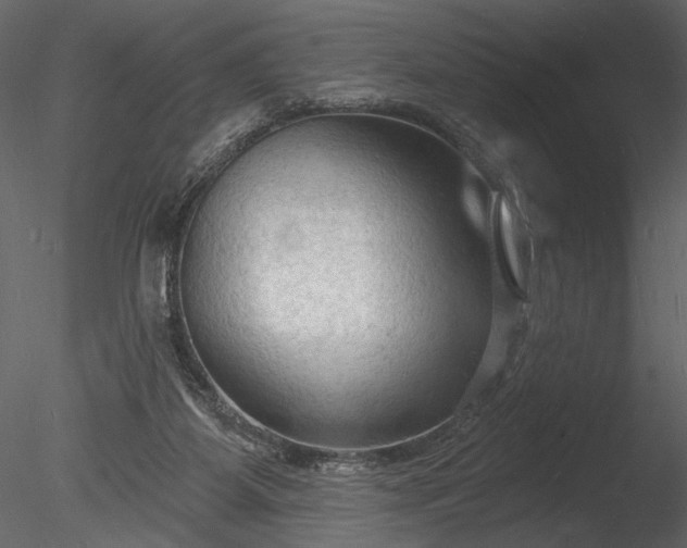 X0000085280115200703161434