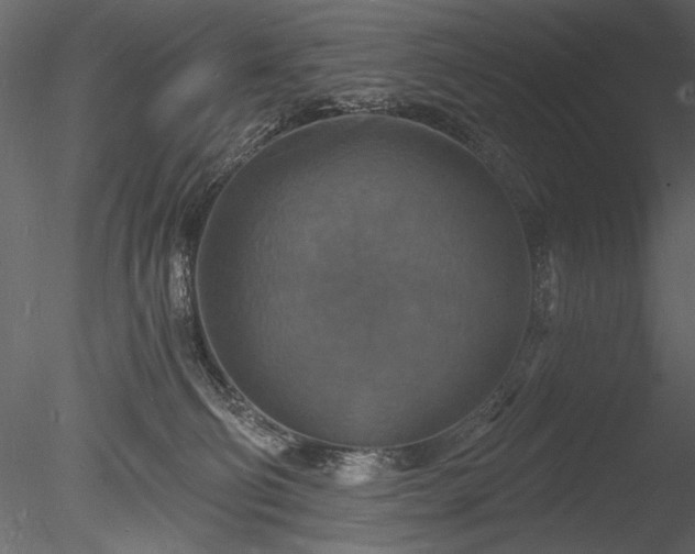 X0000085280130200703161433