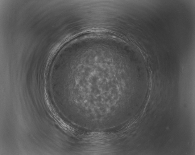 X0000085280145200703161432