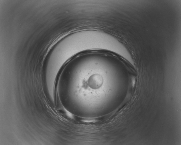 X0000085280146200703161432