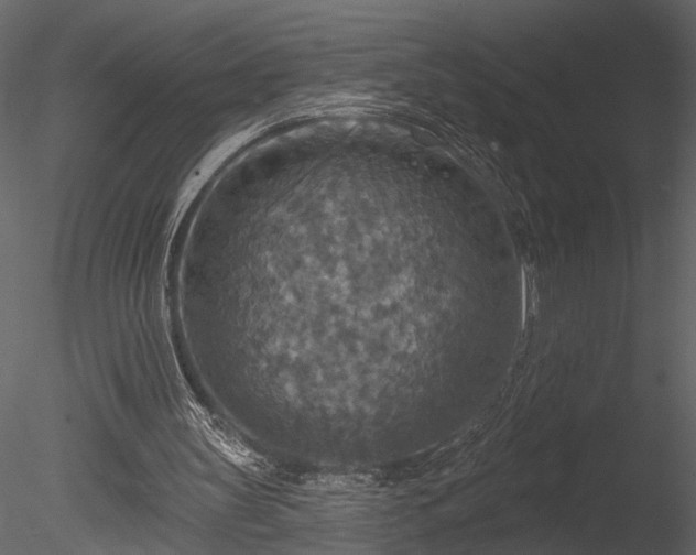 X0000085280147200703161432