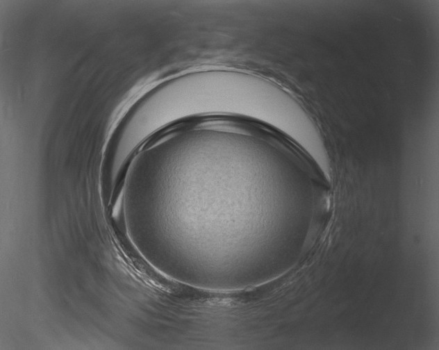 X0000085280152200703161432