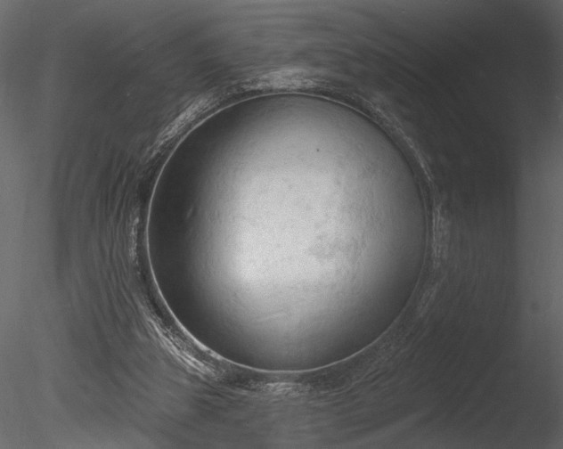 X0000085280153200703161432