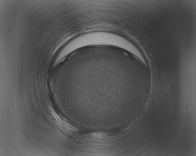 X0000085280154200703161433