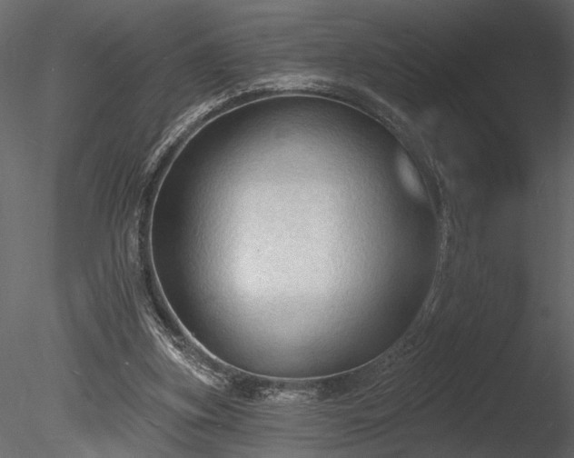 X0000085280155200703161433