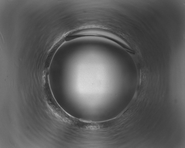 X0000085280160200703161433