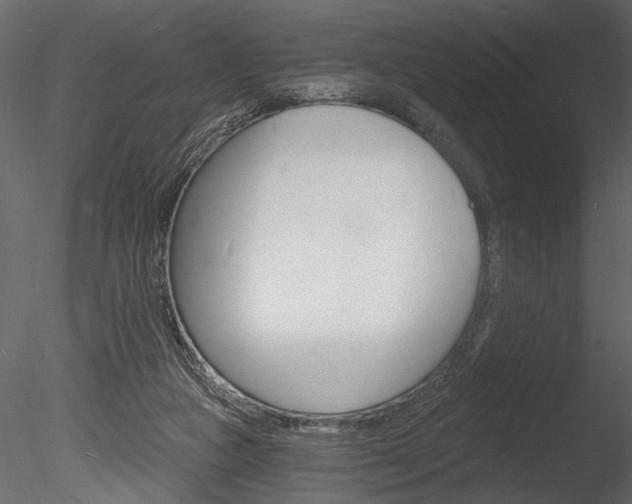 X0000085280161200703161433