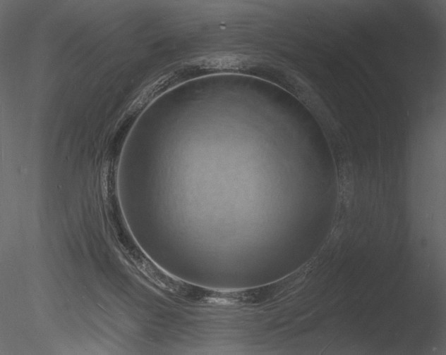 X0000085280167200703161433