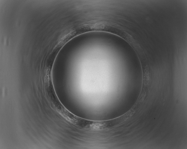 X0000085280172200703161433