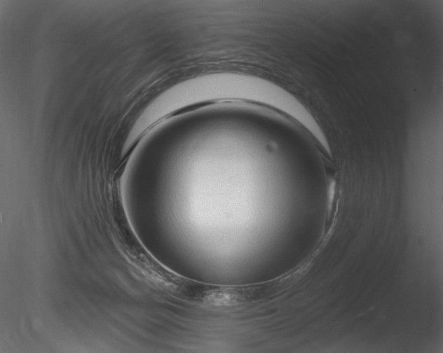 X0000085280174200703161433