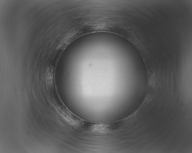 X0000085280179200703161433
