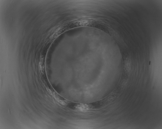 X0000085280181200703161433