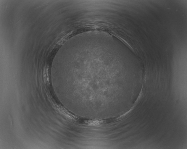 X0000085280182200703161433