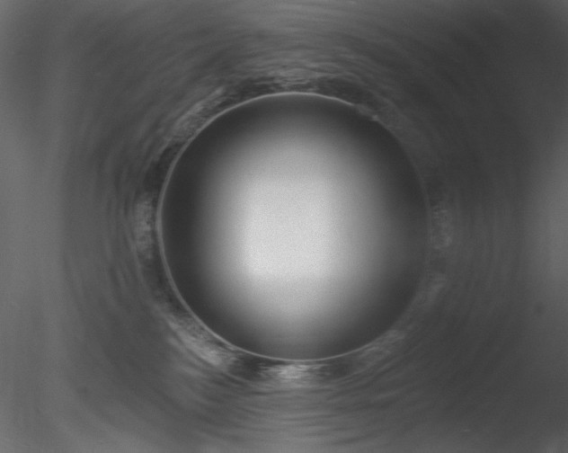 X0000085280184200703161433