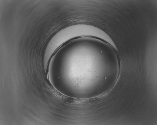 X0000085280190200703161433