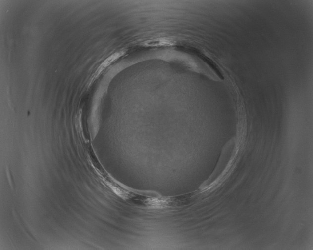 X0000085280192200703161433