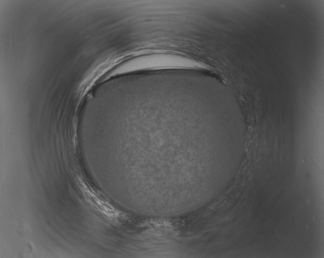 X0000085280194200703161432