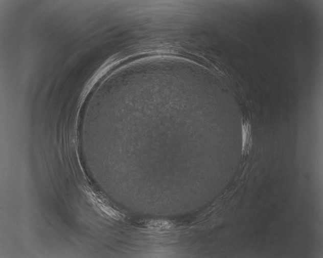X0000085280195200703161432