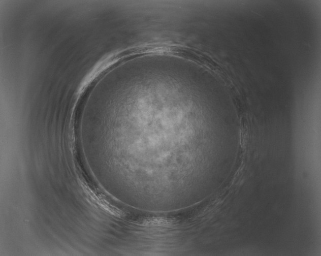 X0000085280198200703161432