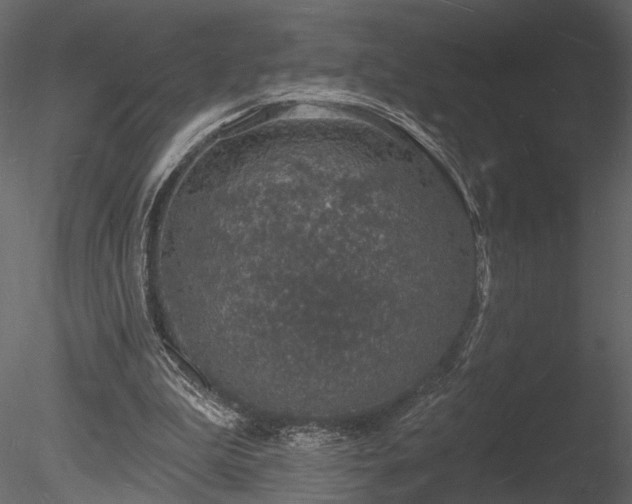 X0000085280199200703161432