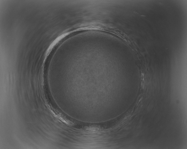 X0000085280200200703161432