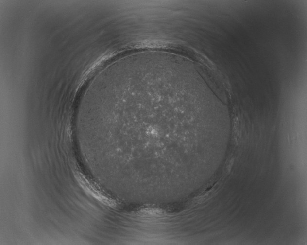 X0000085280203200703161432