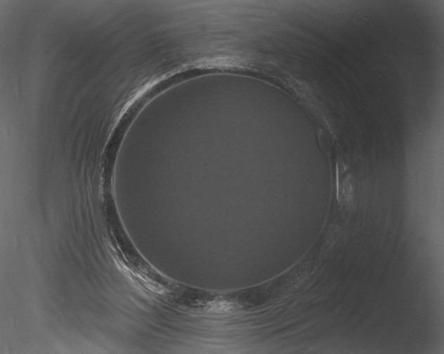 X0000085280204200703161432