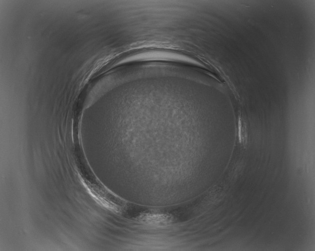 X0000085280205200703161432