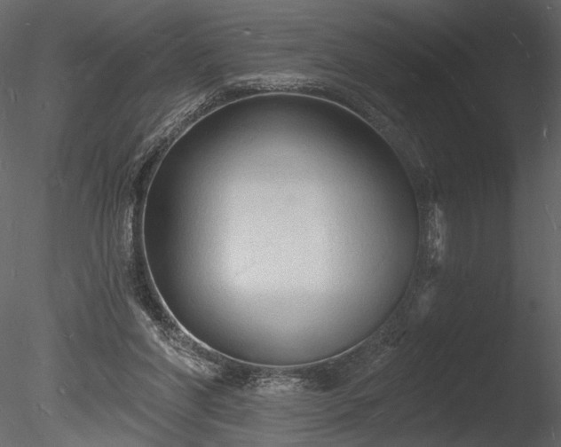 X0000085280206200703161432