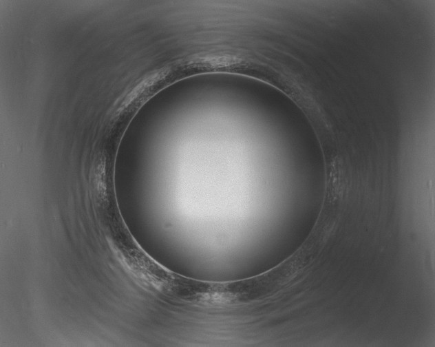 X0000085280212200703161432