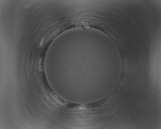 X0000085280224200703161432