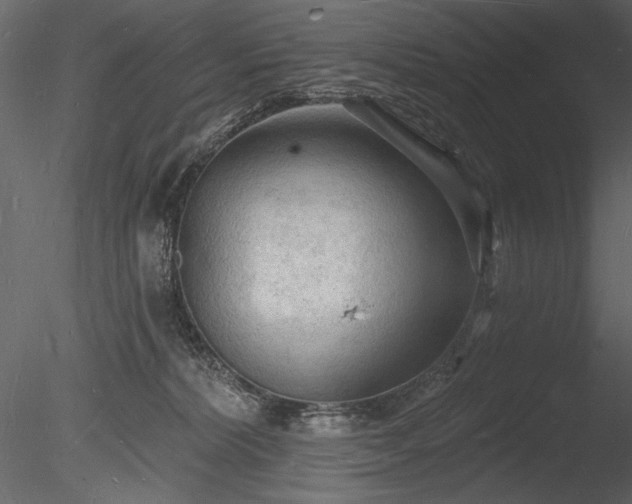 X0000085280228200703161432