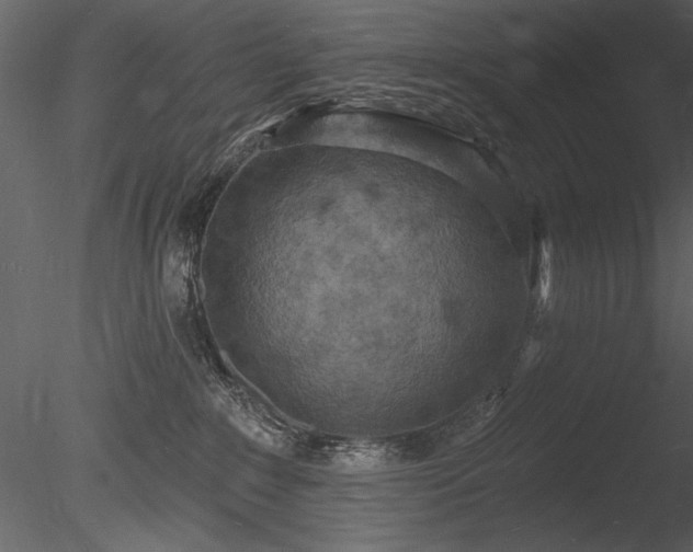 X0000085280235200703161432