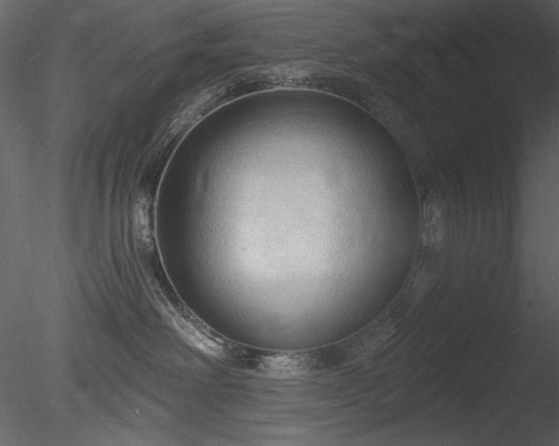 X0000085280238200703161432