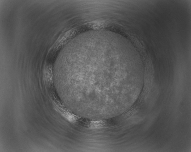 X0000085280240200703161432