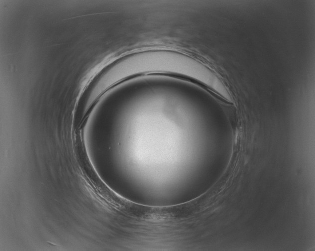 X0000085280248200703161431