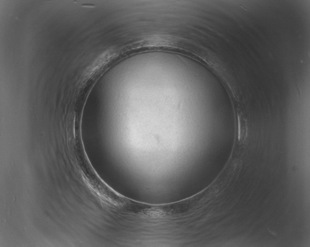 X0000085280253200703161431