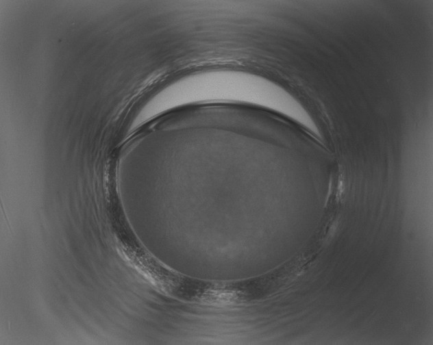 X0000085280260200703161431