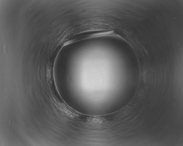 X0000085280282200703161431