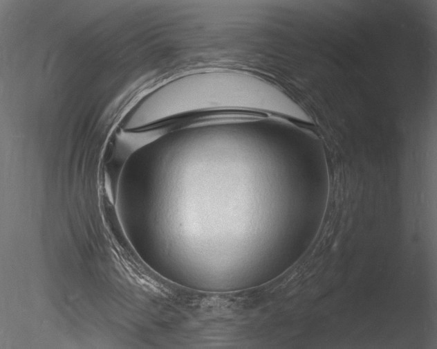 X0000085280290200703161431