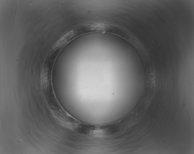 X0000085280312200703161430