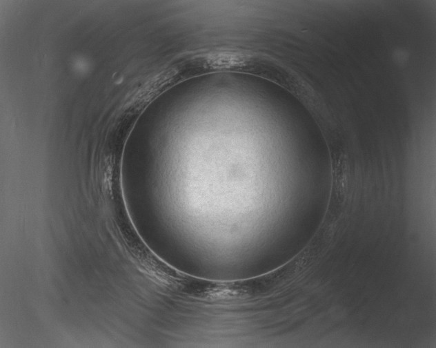 X0000085280315200703161430