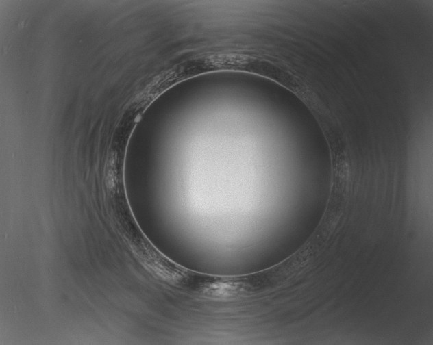 X0000085280323200703161430