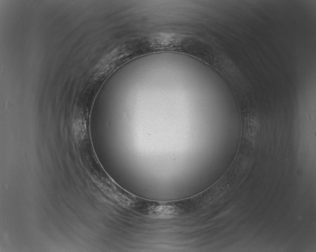 X0000085280324200703161430