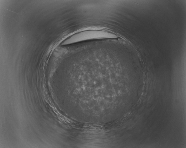 X0000085280337200703161429