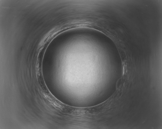 X0000085280339200703161429