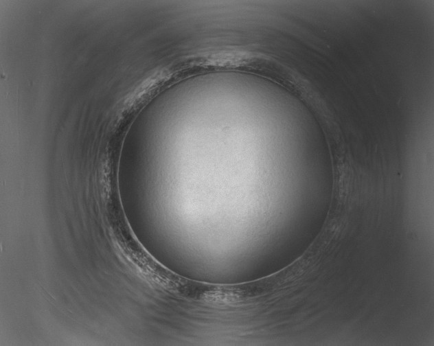 X0000085280354200703161429